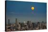 Full moon rising over Brisbane city, Queensland, Australia-Mark A Johnson-Stretched Canvas