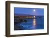 Full moon rising over Piedras Blancas elephant seal rookery, San Simeon, California, USA-Russ Bishop-Framed Photographic Print