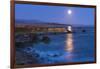 Full moon rising over Piedras Blancas elephant seal rookery, San Simeon, California, USA-Russ Bishop-Framed Photographic Print