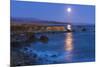 Full moon rising over Piedras Blancas elephant seal rookery, San Simeon, California, USA-Russ Bishop-Mounted Photographic Print