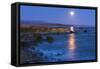 Full moon rising over Piedras Blancas elephant seal rookery, San Simeon, California, USA-Russ Bishop-Framed Stretched Canvas