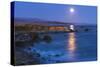 Full moon rising over Piedras Blancas elephant seal rookery, San Simeon, California, USA-Russ Bishop-Stretched Canvas