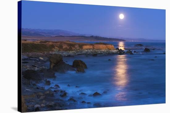 Full moon rising over Piedras Blancas elephant seal rookery, San Simeon, California, USA-Russ Bishop-Stretched Canvas