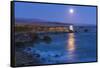 Full moon rising over Piedras Blancas elephant seal rookery, San Simeon, California, USA-Russ Bishop-Framed Stretched Canvas