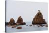 Full Moon Rising over Rock Stacks, Hashikuiiwa, Wakayama Prefecture, Honshu, Japan, Asia-Christian Kober-Stretched Canvas