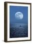 Full Moon Rising Over the Sea-Detlev Van Ravenswaay-Framed Premium Photographic Print