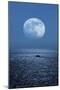 Full Moon Rising Over the Sea-Detlev Van Ravenswaay-Mounted Premium Photographic Print