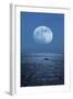 Full Moon Rising Over the Sea-Detlev Van Ravenswaay-Framed Premium Photographic Print