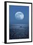 Full Moon Rising Over the Sea-Detlev Van Ravenswaay-Framed Premium Photographic Print