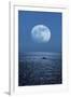 Full Moon Rising Over the Sea-Detlev Van Ravenswaay-Framed Photographic Print