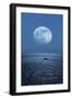 Full Moon Rising Over the Sea-Detlev Van Ravenswaay-Framed Photographic Print