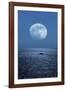 Full Moon Rising Over the Sea-Detlev Van Ravenswaay-Framed Photographic Print