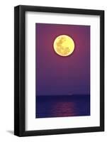 Full Moon rising over the sea-null-Framed Photographic Print