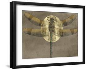 Full Moon Serenade II-Alicia Ludwig-Framed Art Print