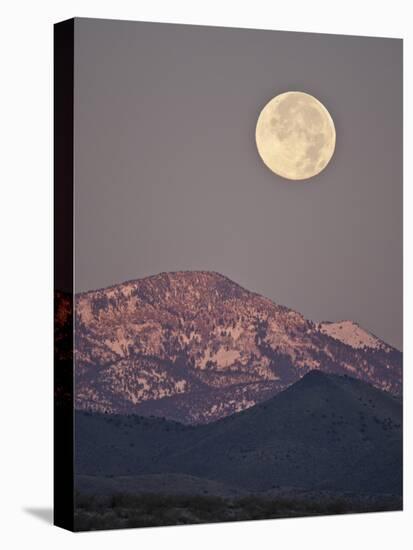 Full Moon Setting over Snow-Covered Magdelena Mountains at Socorro, New Mexico, USA-Larry Ditto-Stretched Canvas