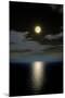 Full Moon Setting-Detlev Van Ravenswaay-Mounted Premium Photographic Print