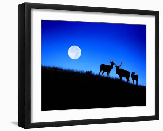 Full Moon, Super Moon, Yellowstone National Park, Wyoming-Maresa Pryor-Framed Premium Photographic Print