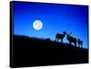 Full Moon, Super Moon, Yellowstone National Park, Wyoming-Maresa Pryor-Framed Stretched Canvas