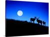 Full Moon, Super Moon, Yellowstone National Park, Wyoming-Maresa Pryor-Stretched Canvas