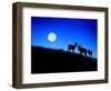 Full Moon, Super Moon, Yellowstone National Park, Wyoming-Maresa Pryor-Framed Photographic Print