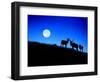 Full Moon, Super Moon, Yellowstone National Park, Wyoming-Maresa Pryor-Framed Photographic Print