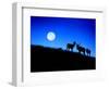 Full Moon, Super Moon, Yellowstone National Park, Wyoming-Maresa Pryor-Framed Photographic Print