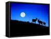 Full Moon, Super Moon, Yellowstone National Park, Wyoming-Maresa Pryor-Framed Stretched Canvas
