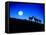 Full Moon, Super Moon, Yellowstone National Park, Wyoming-Maresa Pryor-Framed Stretched Canvas