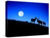 Full Moon, Super Moon, Yellowstone National Park, Wyoming-Maresa Pryor-Stretched Canvas