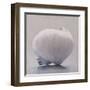 Full Moon-Chris Witkowski-Framed Art Print