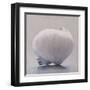 Full Moon-Chris Witkowski-Framed Art Print