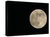 Full Moon-Arthur Morris-Stretched Canvas