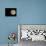 Full Moon-Arthur Morris-Photographic Print displayed on a wall