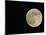 Full Moon-Arthur Morris-Mounted Photographic Print