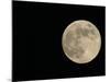 Full Moon-Arthur Morris-Mounted Photographic Print