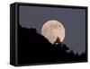 Full Moon-null-Framed Stretched Canvas