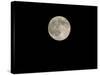 Full Moon-Stocktrek Images-Stretched Canvas