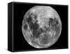 Full Moon-Stocktrek Images-Framed Stretched Canvas