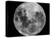 Full Moon-Stocktrek Images-Stretched Canvas