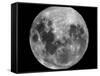 Full Moon-Stocktrek Images-Framed Stretched Canvas