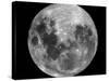 Full Moon-Stocktrek Images-Stretched Canvas