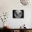 Full Moon-Stocktrek Images-Photographic Print displayed on a wall