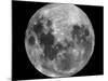 Full Moon-Stocktrek Images-Mounted Photographic Print