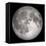 Full Moon-Stocktrek Images-Framed Stretched Canvas