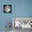 Full Moon-Stocktrek Images-Photographic Print displayed on a wall