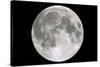 Full Moon-Laurent Laveder-Stretched Canvas