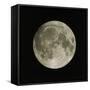 Full Moon-Eckhard Slawik-Framed Stretched Canvas