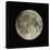 Full Moon-Eckhard Slawik-Stretched Canvas