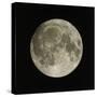 Full Moon-Eckhard Slawik-Stretched Canvas