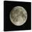 Full Moon-Eckhard Slawik-Stretched Canvas